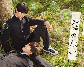 扬州网站优化推广价格